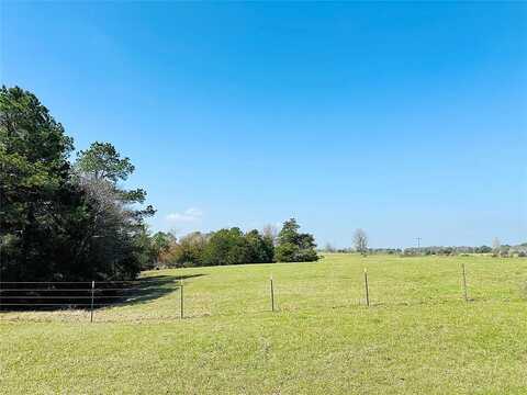 County Rd 212, Buffalo, TX 75831