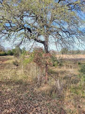 Navarro Lane, Grapeland, TX 75855