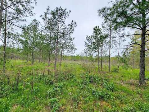 County Road 3375, Lovelady, TX 75851