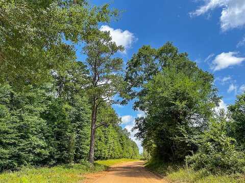 Kelley Road, Livingston, TX 77351