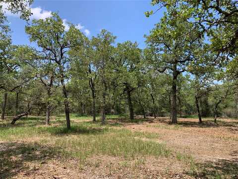 Private Road 1581, Hallettsville, TX 77964