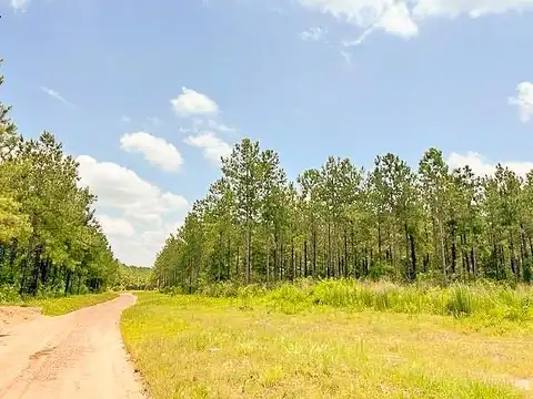 County Road 1425, Warren, TX 75979