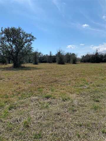 S Delaney Lot A Road, Hitchcock, TX 77563