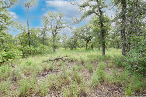 Tbd Vivroux Ranch Rd, Seguin, TX 78155