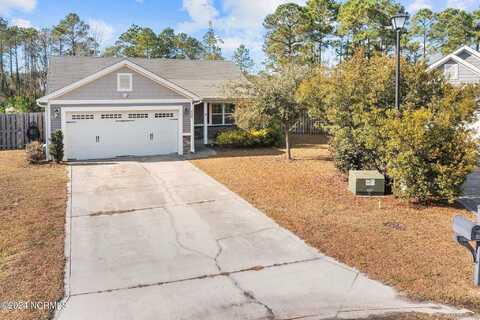 Blue Pennant, SNEADS FERRY, NC 28460