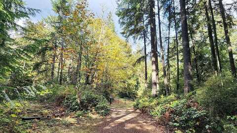 Baneberry, OLALLA, WA 98359