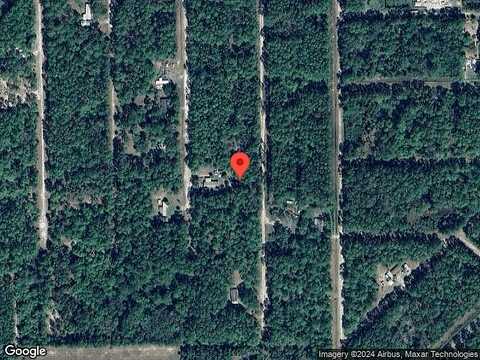 Forest, GEORGETOWN, FL 32139