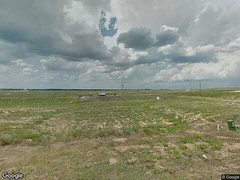 Steely, DUNDEE, FL 33838