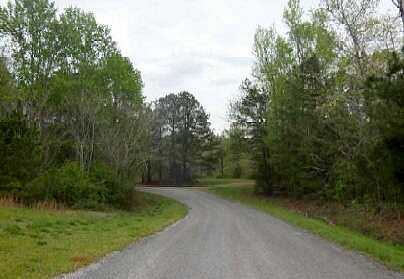 County Road 197, CLANTON, AL 35046