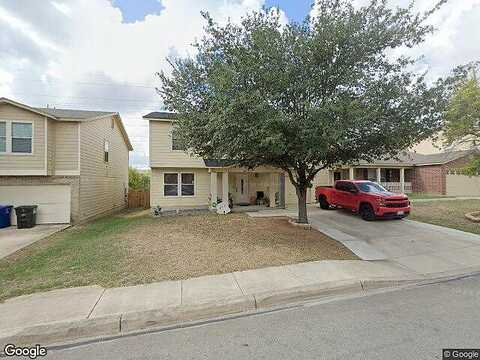 Shadbush, SAN ANTONIO, TX 78245