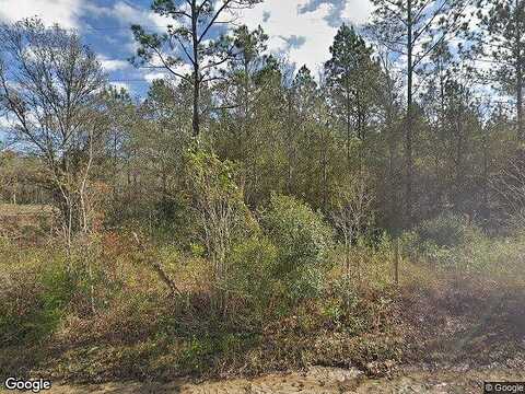 35Th, LAWTEY, FL 32058