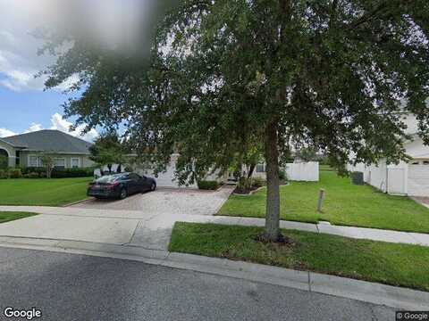 Star Grass, KISSIMMEE, FL 34746