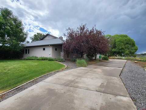 Collins, MONTROSE, CO 81403