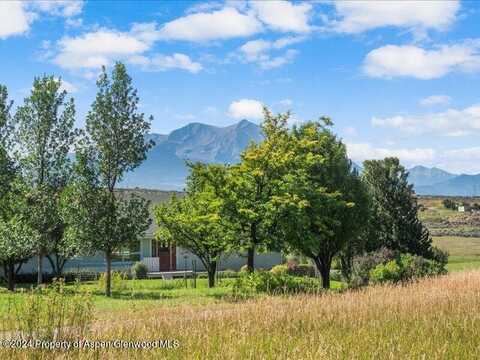 4100 COUNTY ROAD 103, Carbondale, CO 81623