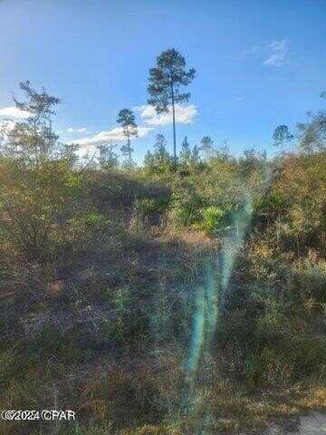 Hwy 167 County Road #167, Fountain, FL 32438