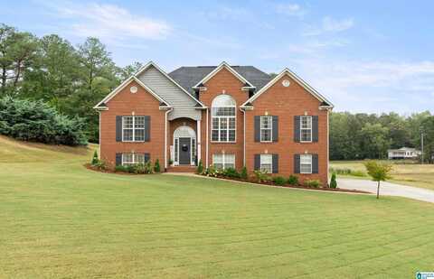 21 FARM COURT, SPRINGVILLE, AL 35146