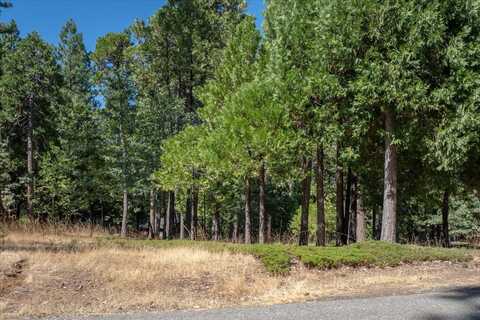 2360 Polly Court, Arnold, CA 95223