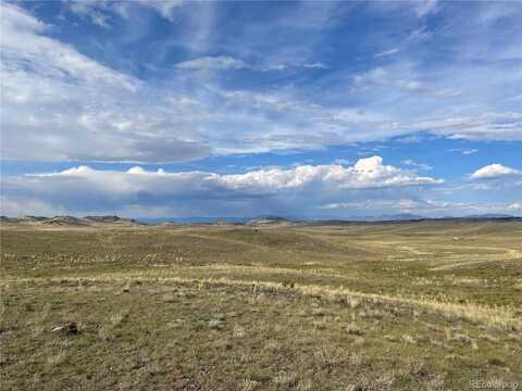 000 Taos Trail, Hartsel, CO 80449