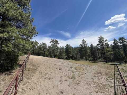 292 Southern Road, Pagosa Springs, CO 81147