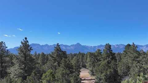 Lot 555 N Badger Trail, Ridgway, CO 81432