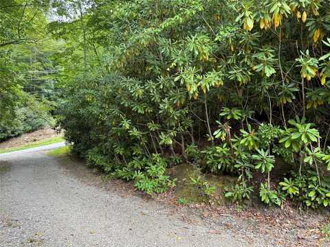 000 Sheepback Mountain Road, Maggie Valley, NC 28751