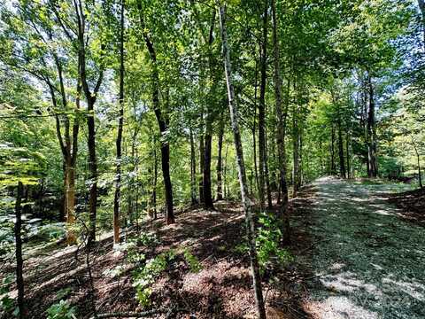 00 Howard Gap Road, Tryon, NC 28782