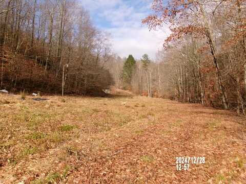 377 D conley road, Flatgap, KY 41219