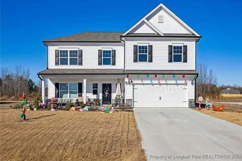 73 Double Barrel Street, Lillington, NC 27546