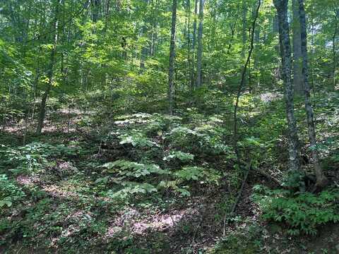 Lot 334 High Ridge Rd. Section 10, Franklin, NC 28734