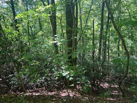 Lot 388 Uncle Joe's Bluff, Franklin, NC 28734