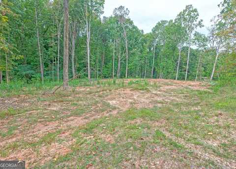 Lot 8 Andrews Subdivision Rd, Lavonia, GA 30553