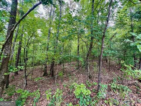 331 Hardwood Hollow, Sandersville, GA 31082