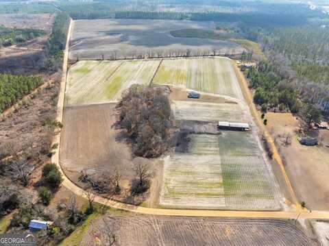378 Tom McCall, Claxton, GA 30417