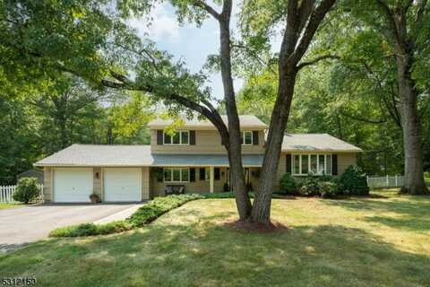 218 Northfield Rd, Hilltop, NJ 07946