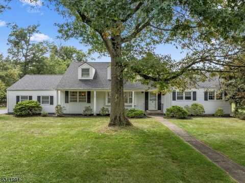 909 Ardsley Ln, Bridgewater, NJ 08807