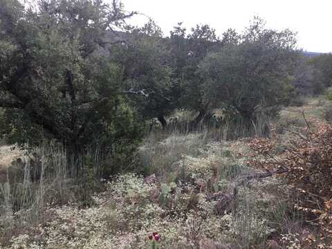 Lot 41131 Dalton Circle, Horseshoe Bay, TX 78657