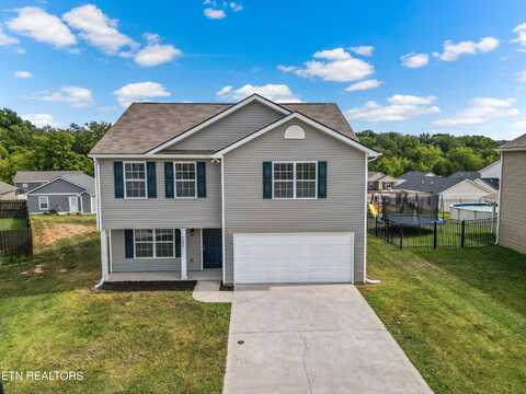 7146 Forest Willow Lane, Corryton, TN 37721