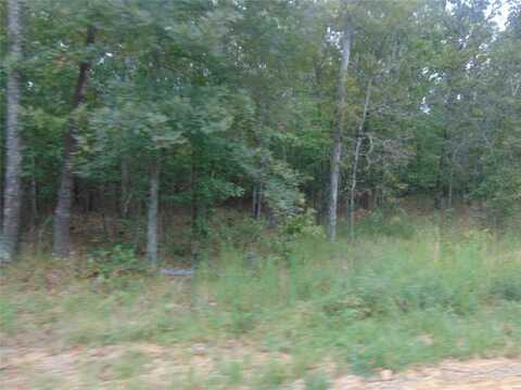 20 Southern Hills, Doniphan, MO 63935