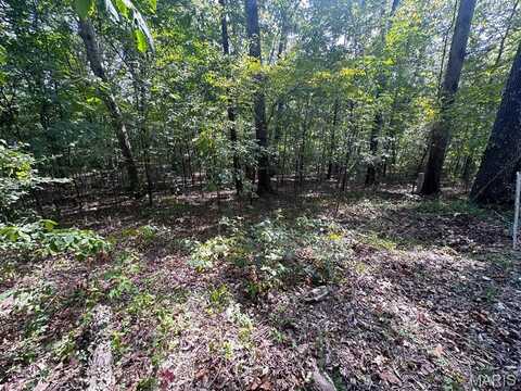 0 Lot 39, Tomaro Trail, Poplar Bluff, MO 63901