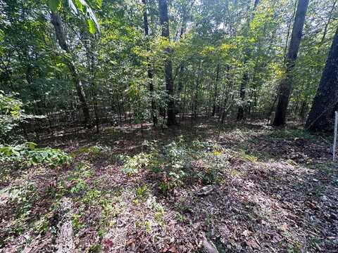 0 Lot 39, Tomaro Trail, Poplar Bluff, MO 63901