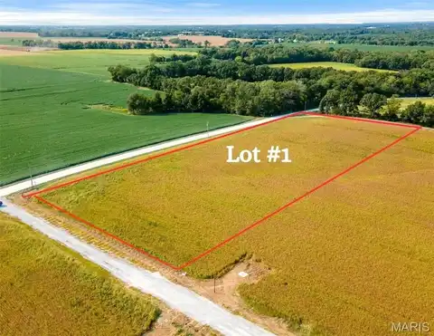 101 Otto Court, Silex, MO 63377