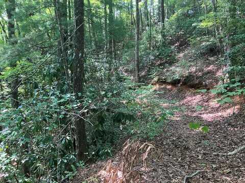 5.8 Copper Creek Rd, MURPHY, NC 28906