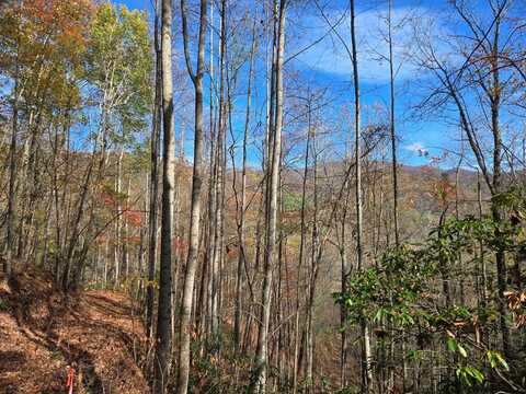 5.8 Copper Creek Rd, MURPHY, NC 28906