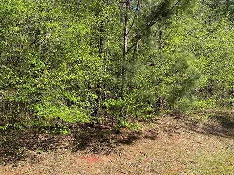 Lot C25 Peach Orchard Rd, Ivey, GA 31031