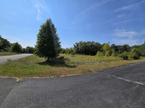 40342 N Belle Foret Drive, Wadsworth, IL 60083