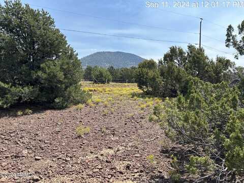 2471 E Starry Night Way, Williams, AZ 86046