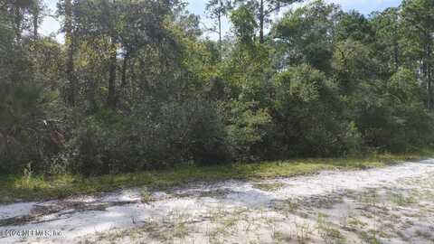 209 OCALA Court, Georgetown, FL 32139