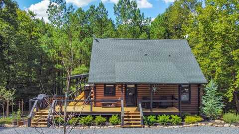 16 Toccoa Ridge Road, Mineral Bluff, GA 30561