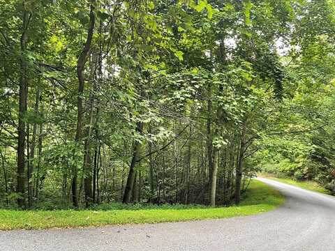 Lot 32 J Mountain Harbour Lot, Hayesville, NC 29804