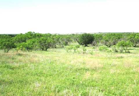 25 Ac Boren, Ringgold, TX 76241